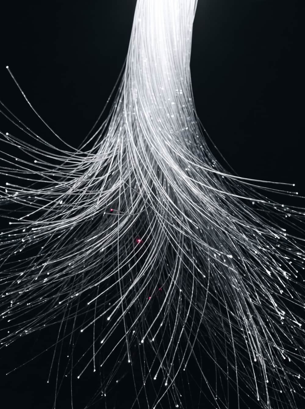 A dense bundle of fibre-optic filaments fanning out from a single bright trunk, each strand tipped with a point of light against black.
